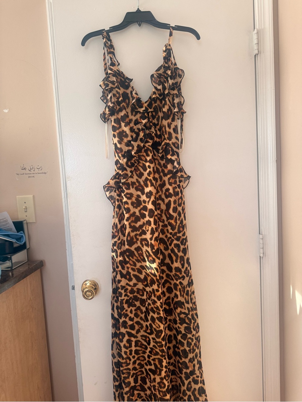 Leopard Print Slip Maxi Dress Steve Madden